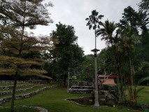 The Botanical Gardens of Penang